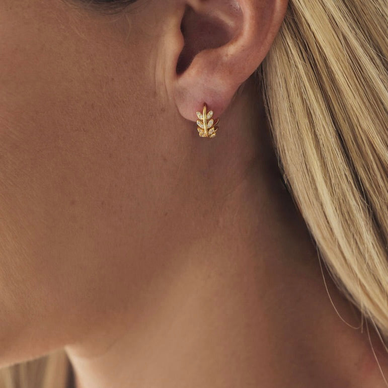 Spiga - Earrings
