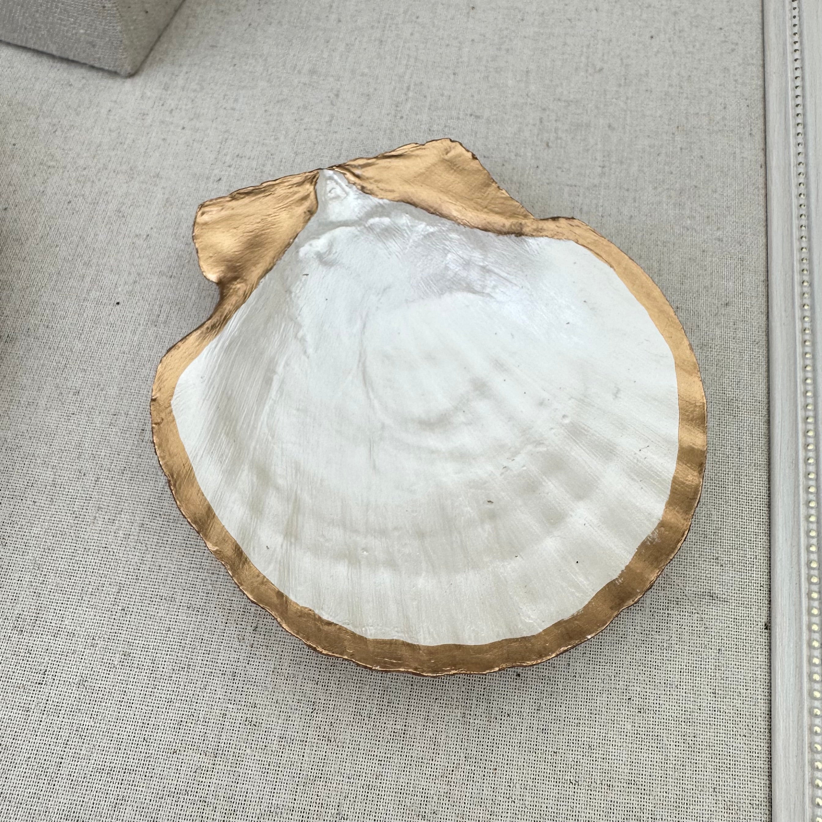 Coastal Shell - Tray