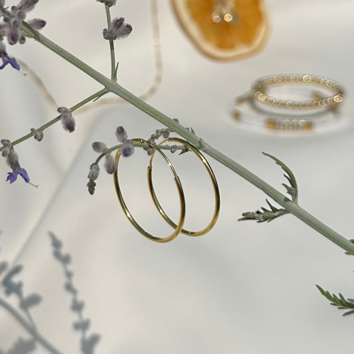 Hoop - Earrings