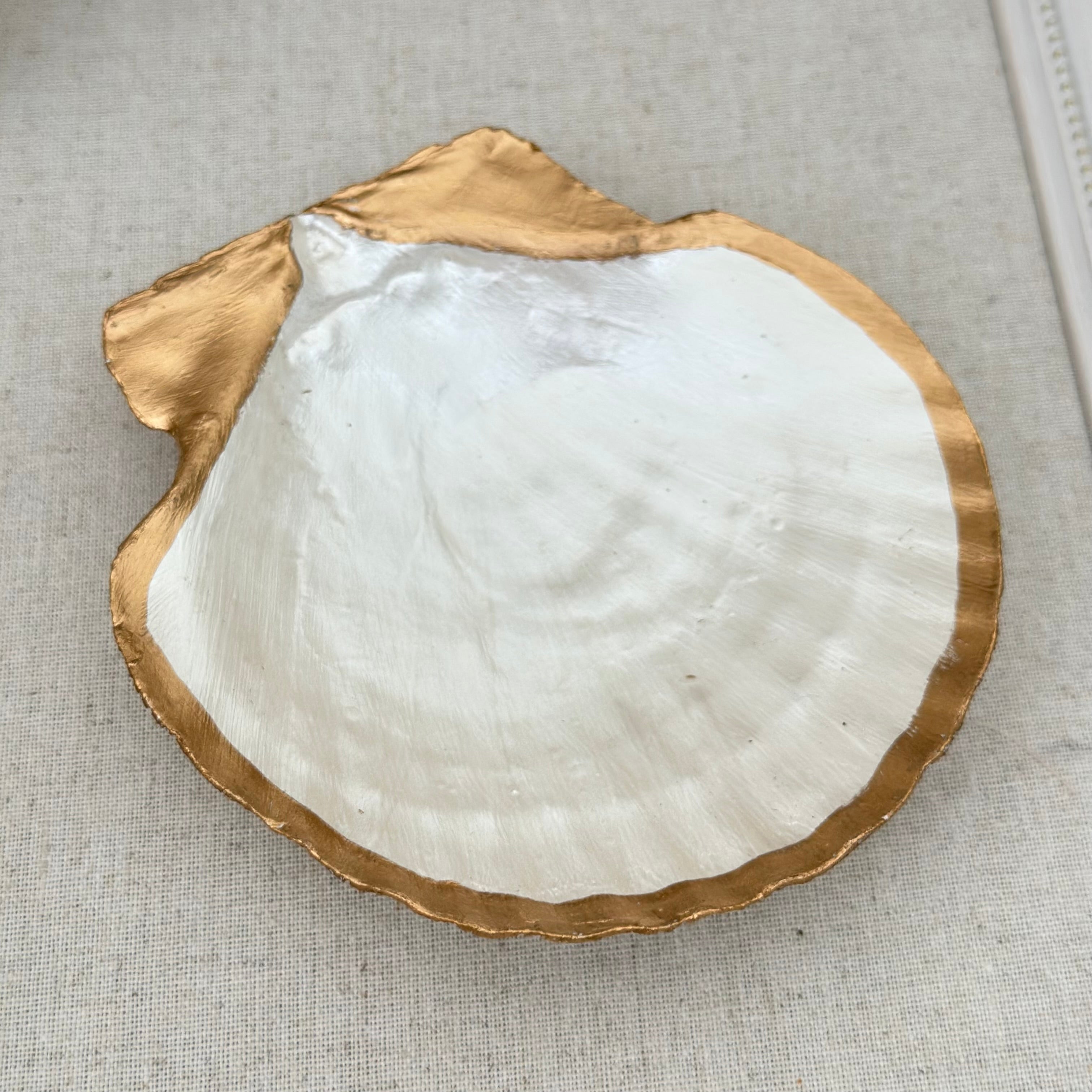 Coastal Shell - Tray